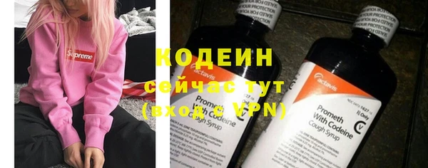 герыч Лагань