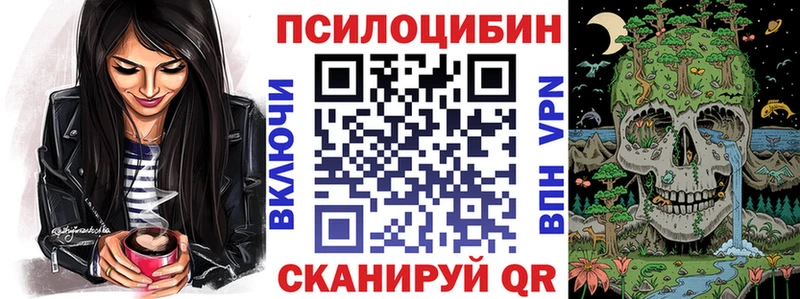 Псилоцибиновые грибы MAGIC MUSHROOMS OMG даркнет наркотические препараты Каменск-Шахтинский