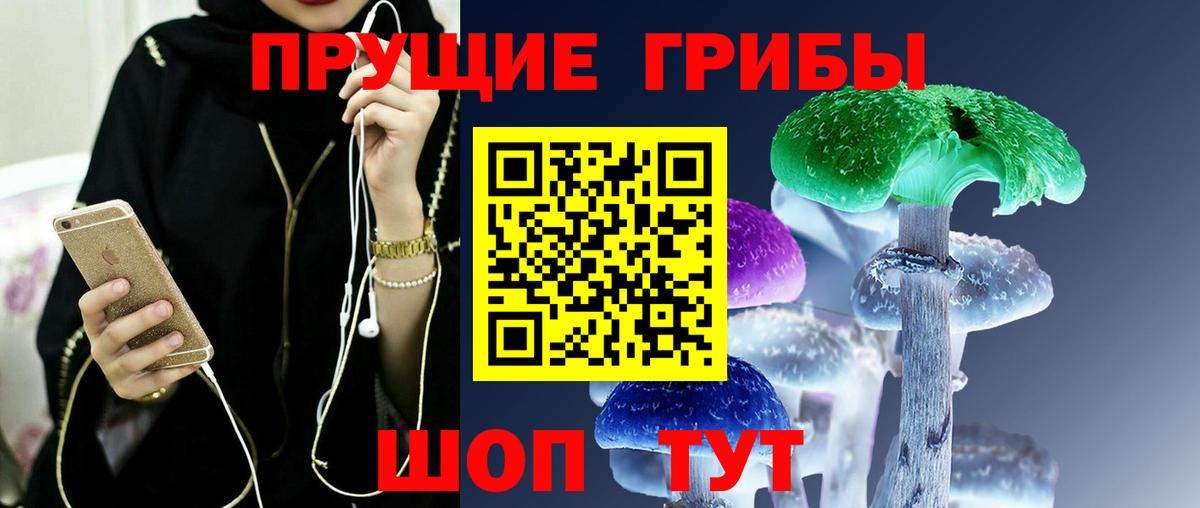 Галлюциногенные грибы мицелий  Вход с VPN  Каменск-Шахтинский 
